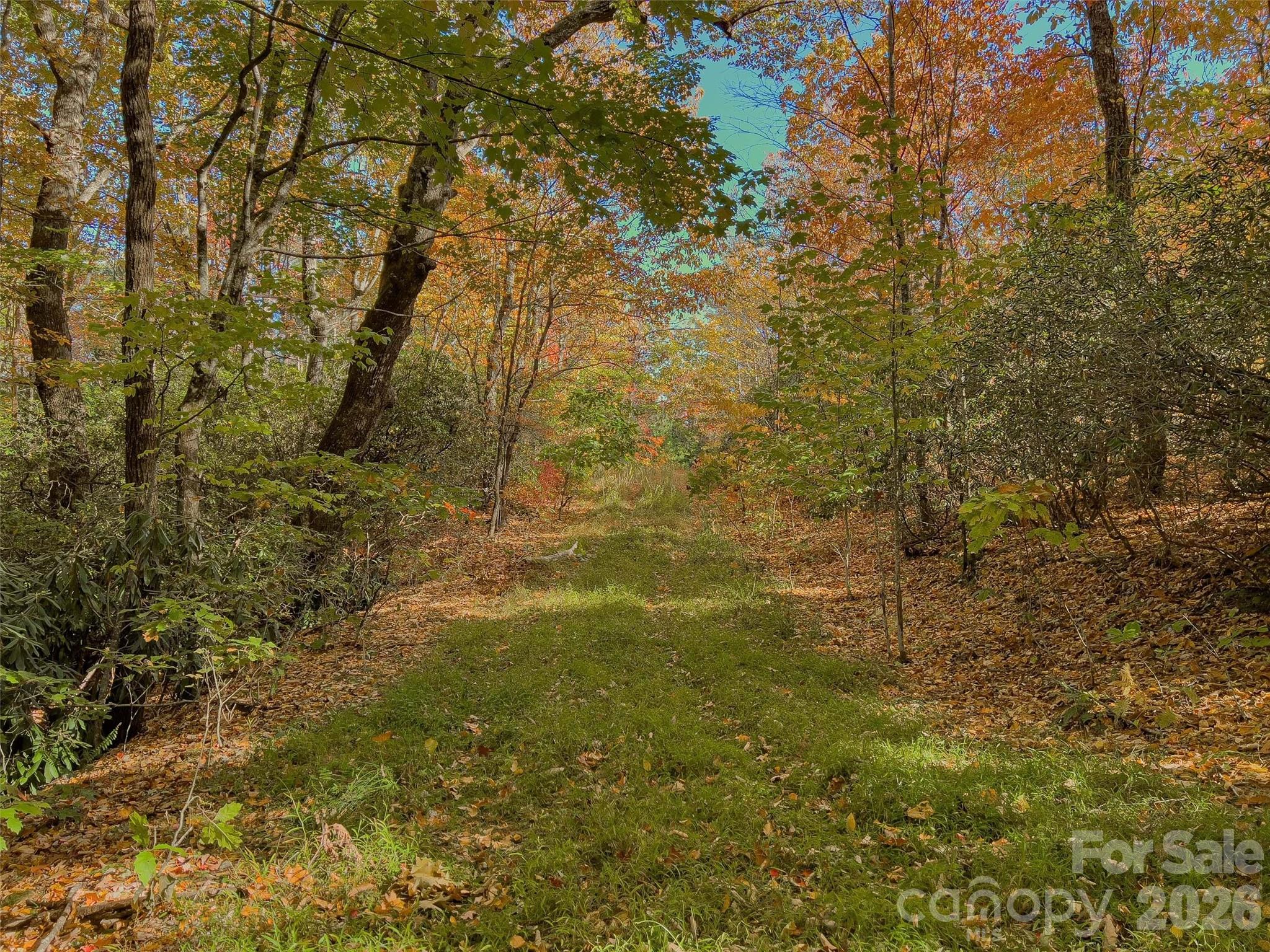 9999 W Club Boulevard Lake Toxaway NC 28747
