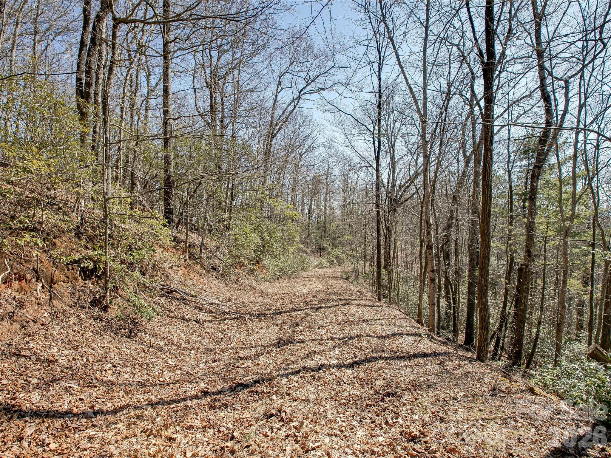 9999 W Club Boulevard Lake Toxaway NC 28747