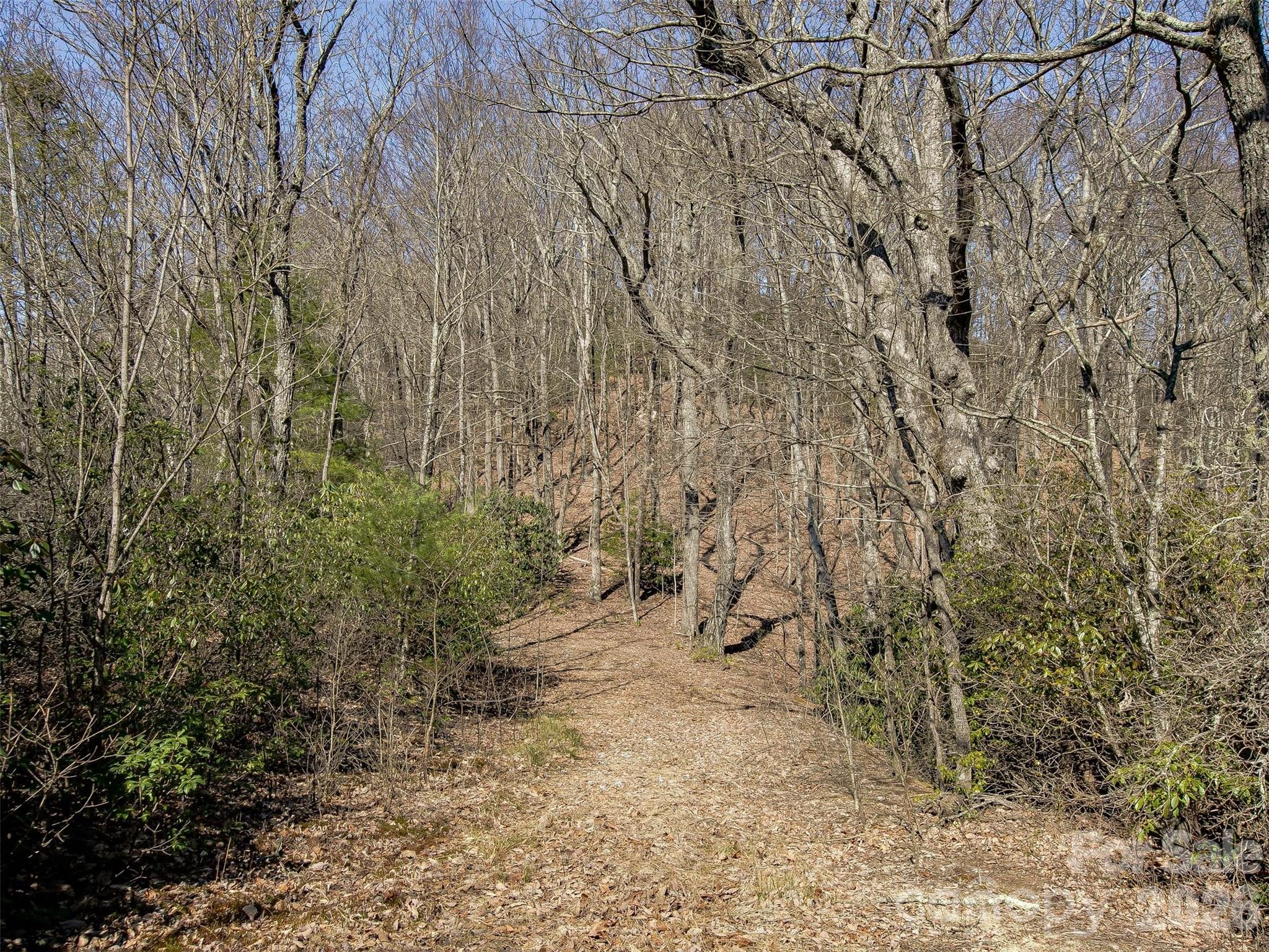9999 W Club Boulevard Lake Toxaway NC 28747