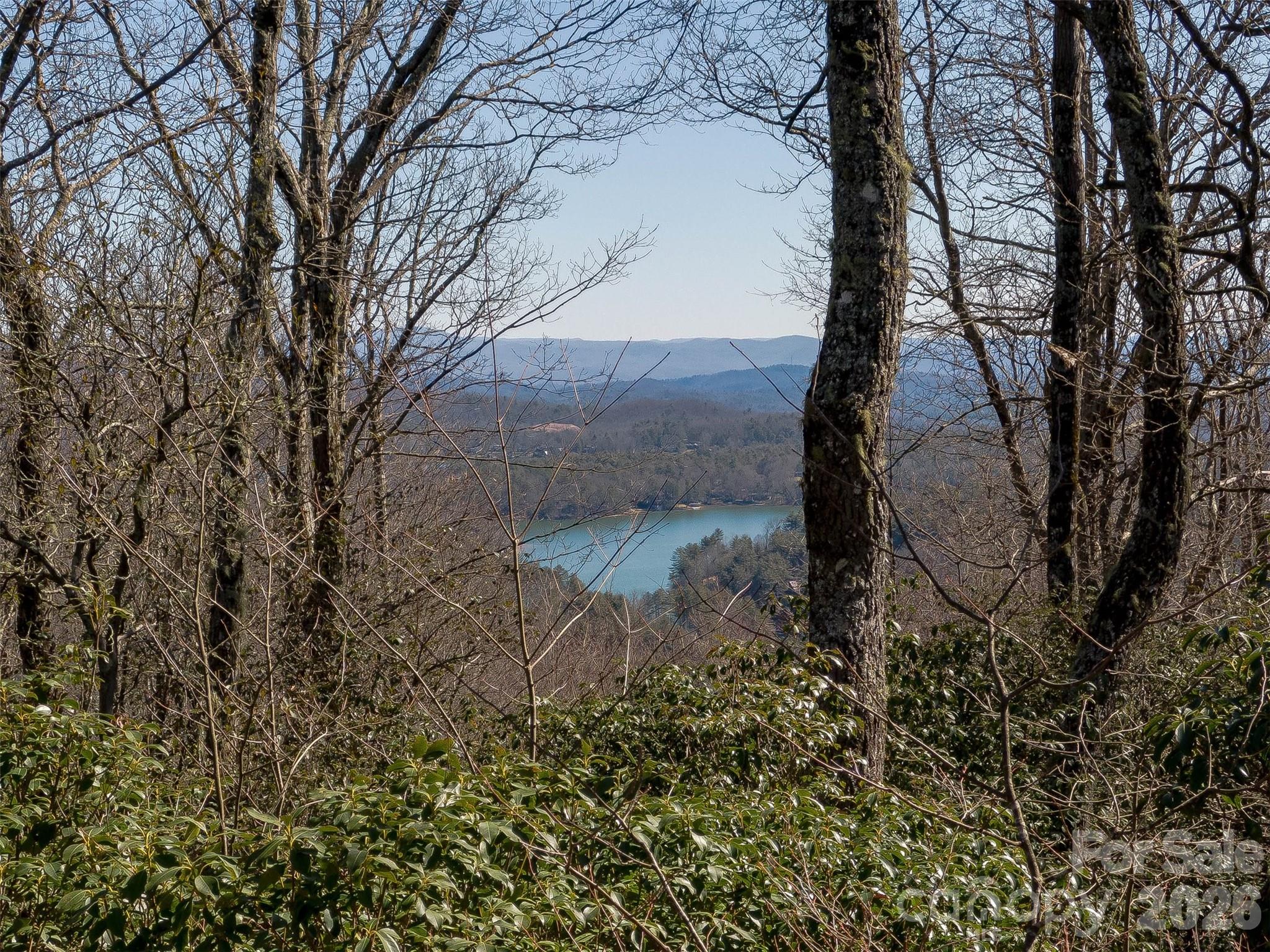9999 W Club Boulevard Lake Toxaway NC 28747