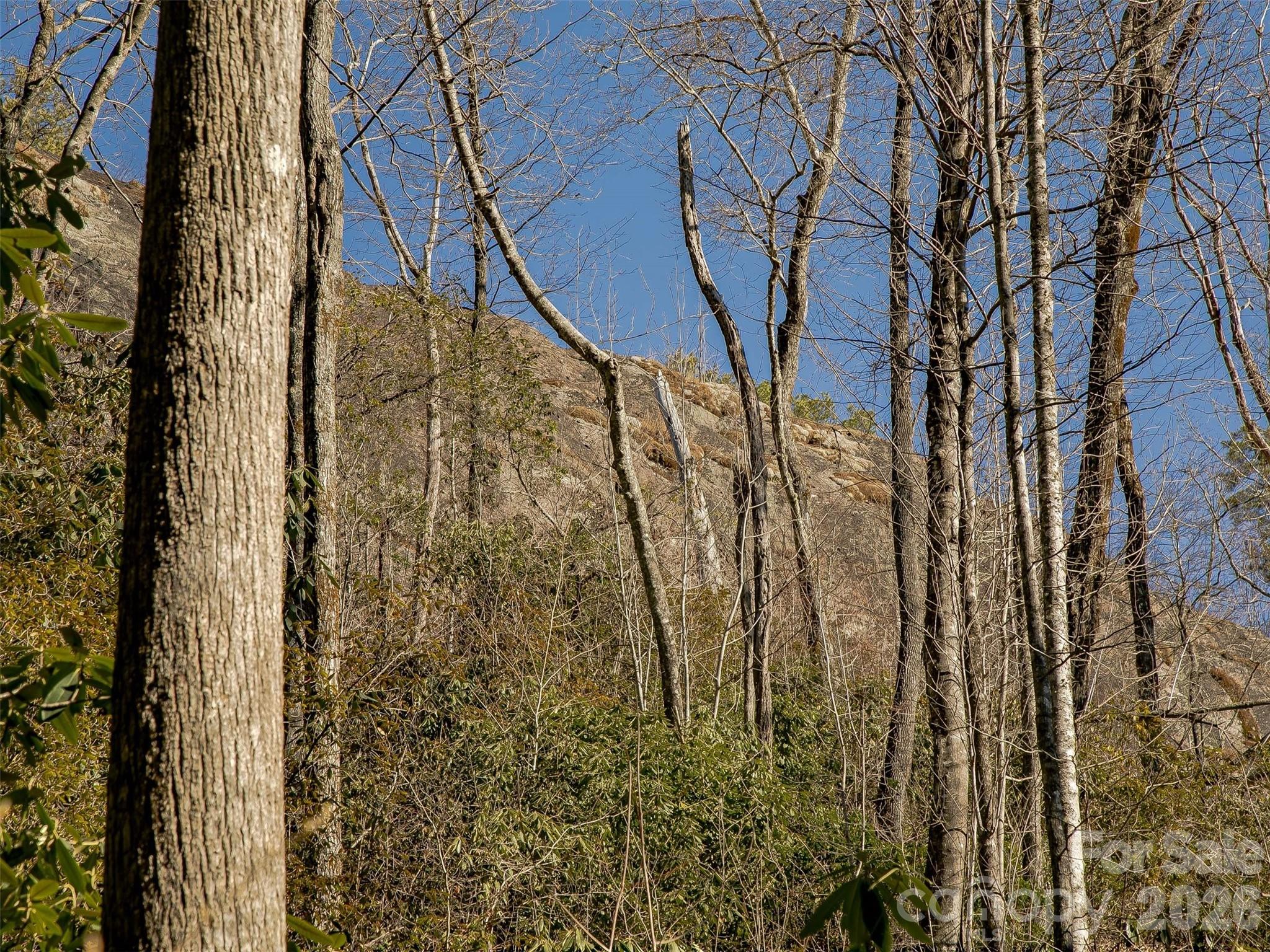 9999 W Club Boulevard Lake Toxaway NC 28747