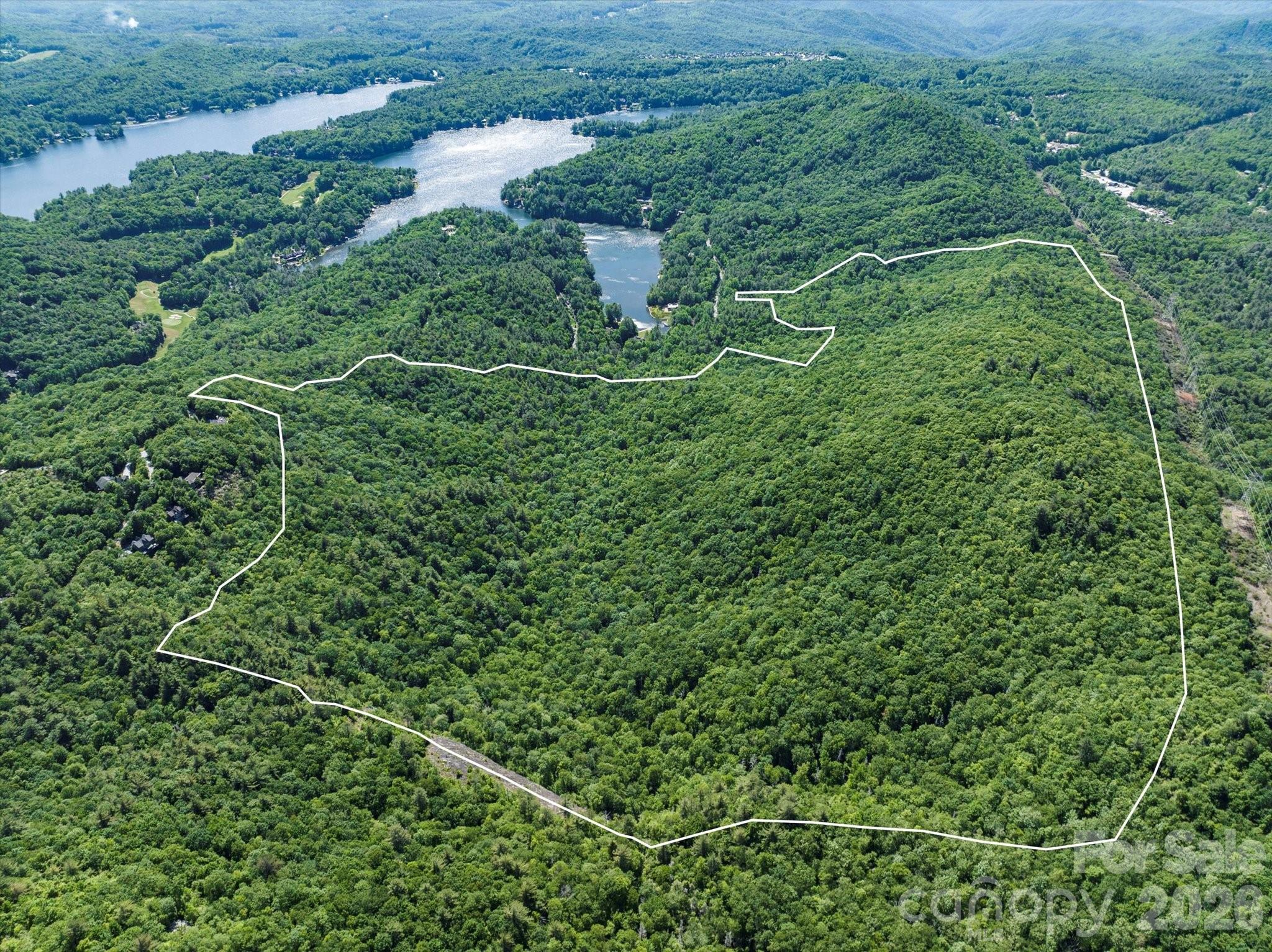 9999 W Club Boulevard Lake Toxaway NC 28747