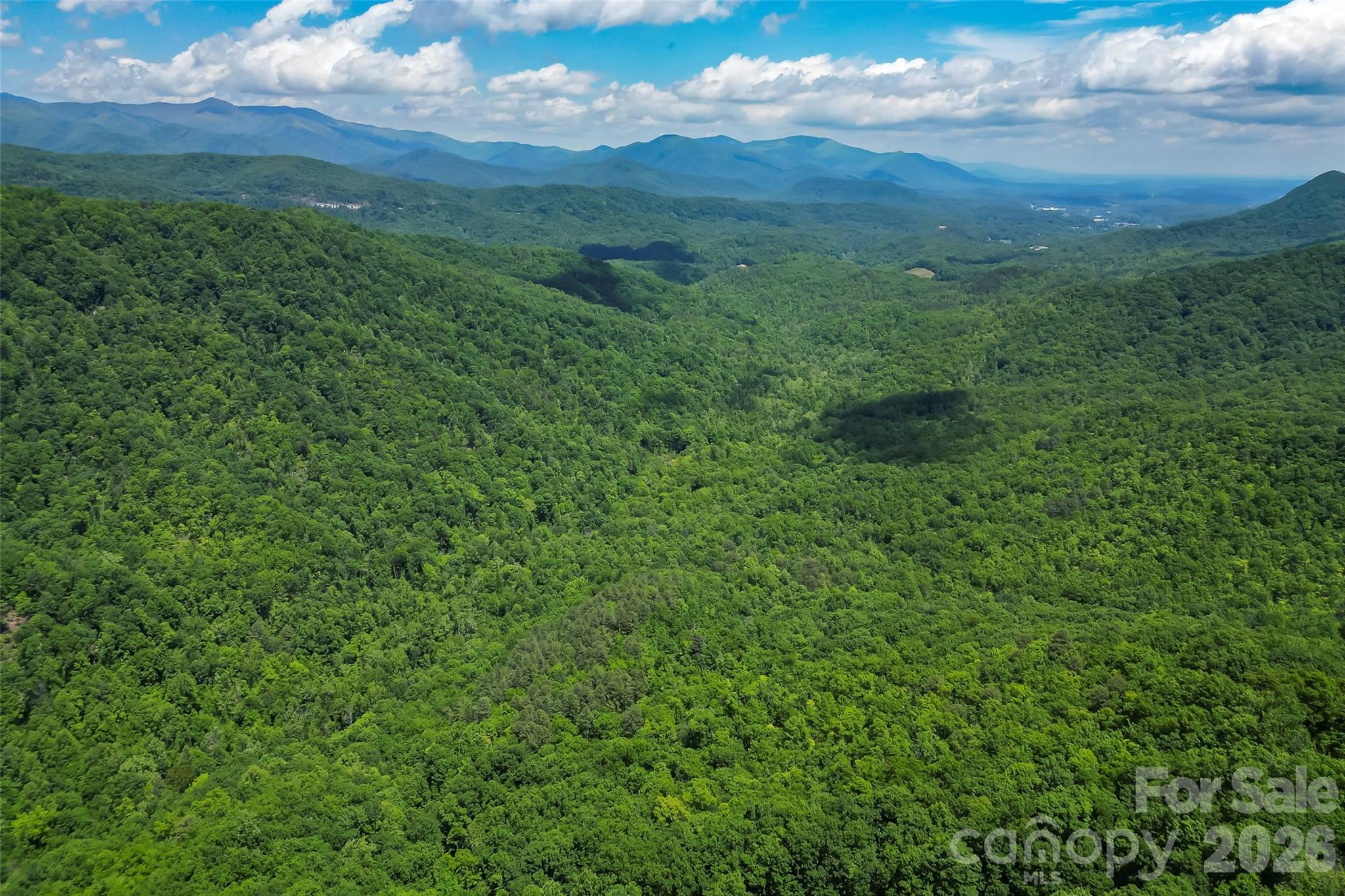 1620 North Haven Drive Black Mountain NC 28711