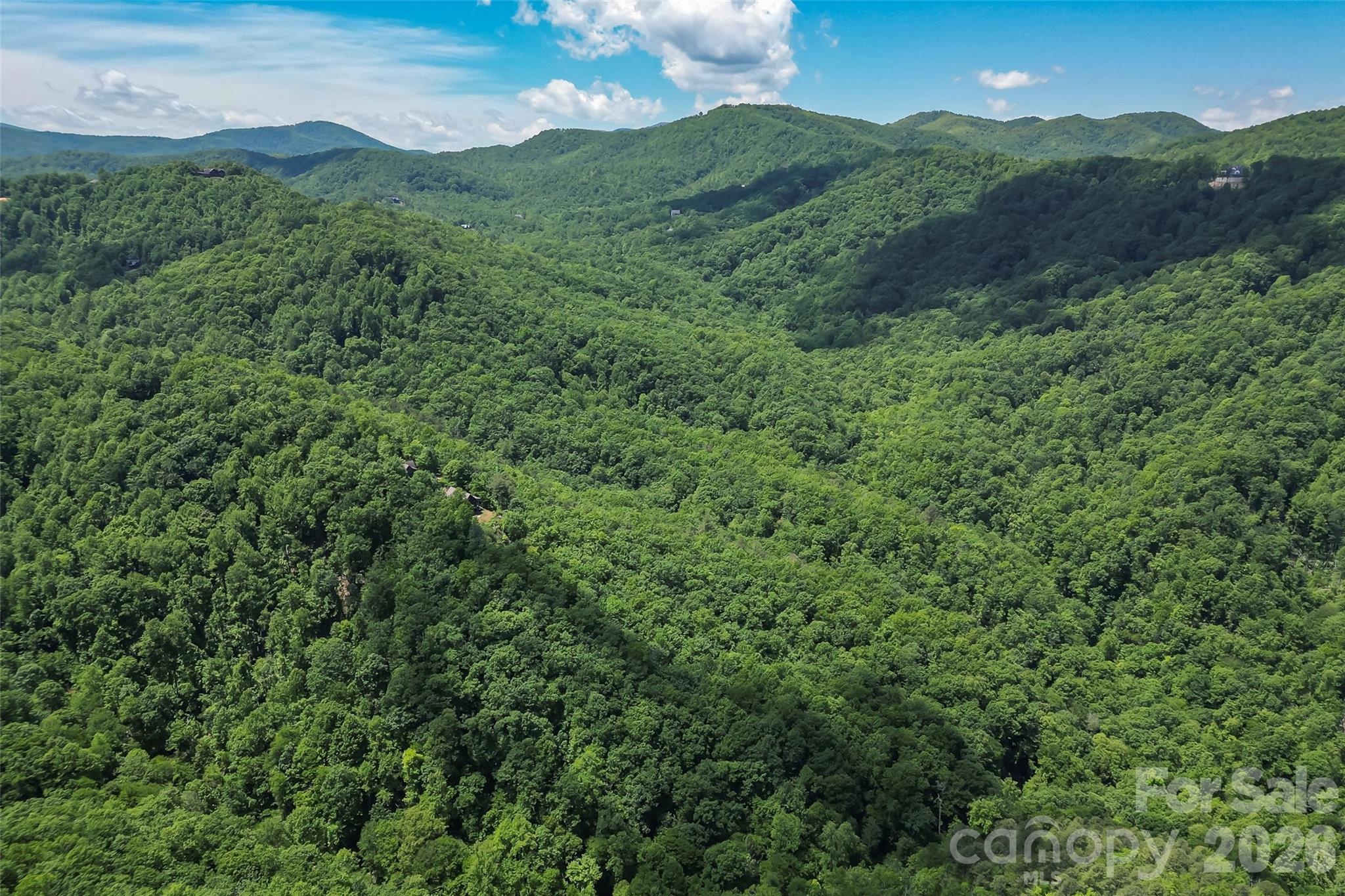 1620 North Haven Drive Black Mountain NC 28711