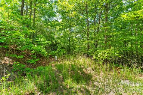 1620 North Haven Drive Black Mountain NC 28711