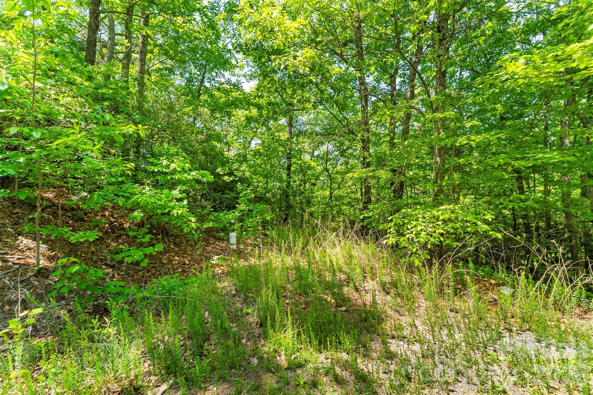 1620 North Haven Drive Black Mountain NC 28711