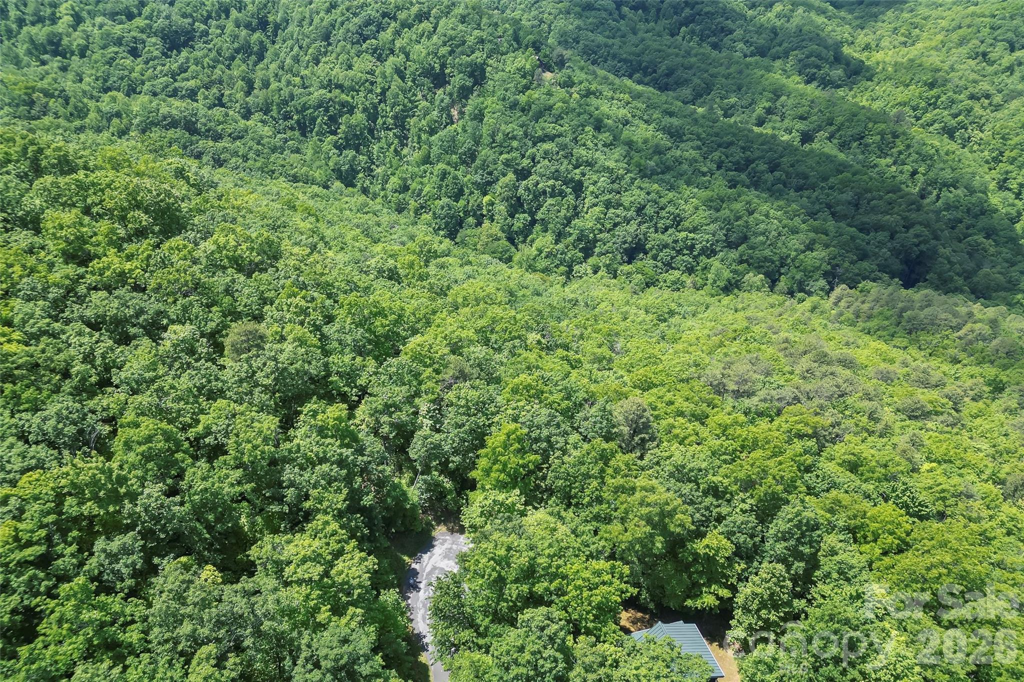 1620 North Haven Drive Black Mountain NC 28711