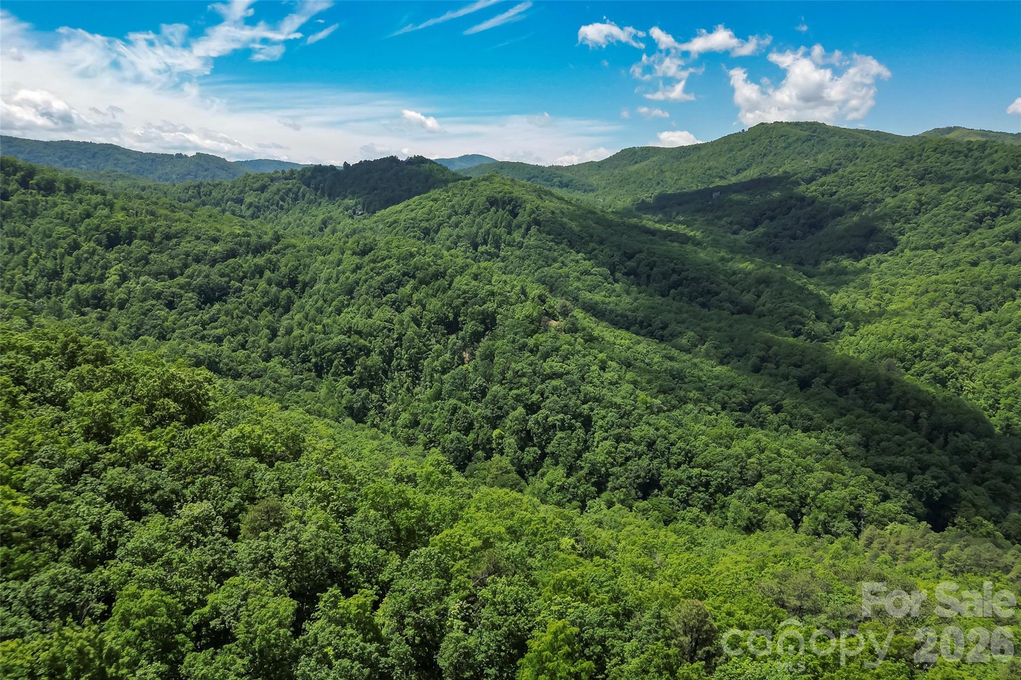 1620 North Haven Drive Black Mountain NC 28711