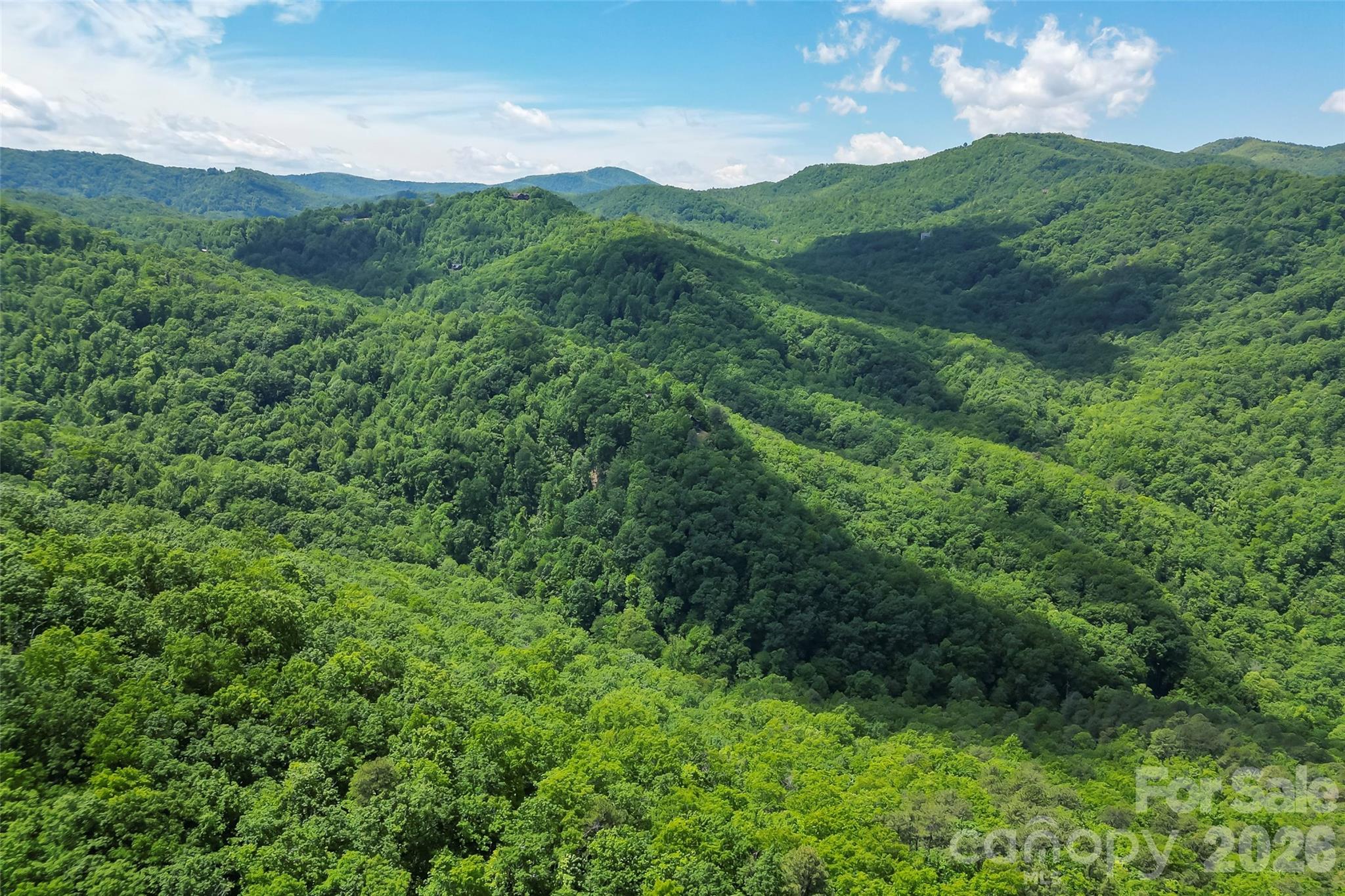 1620 North Haven Drive Black Mountain NC 28711