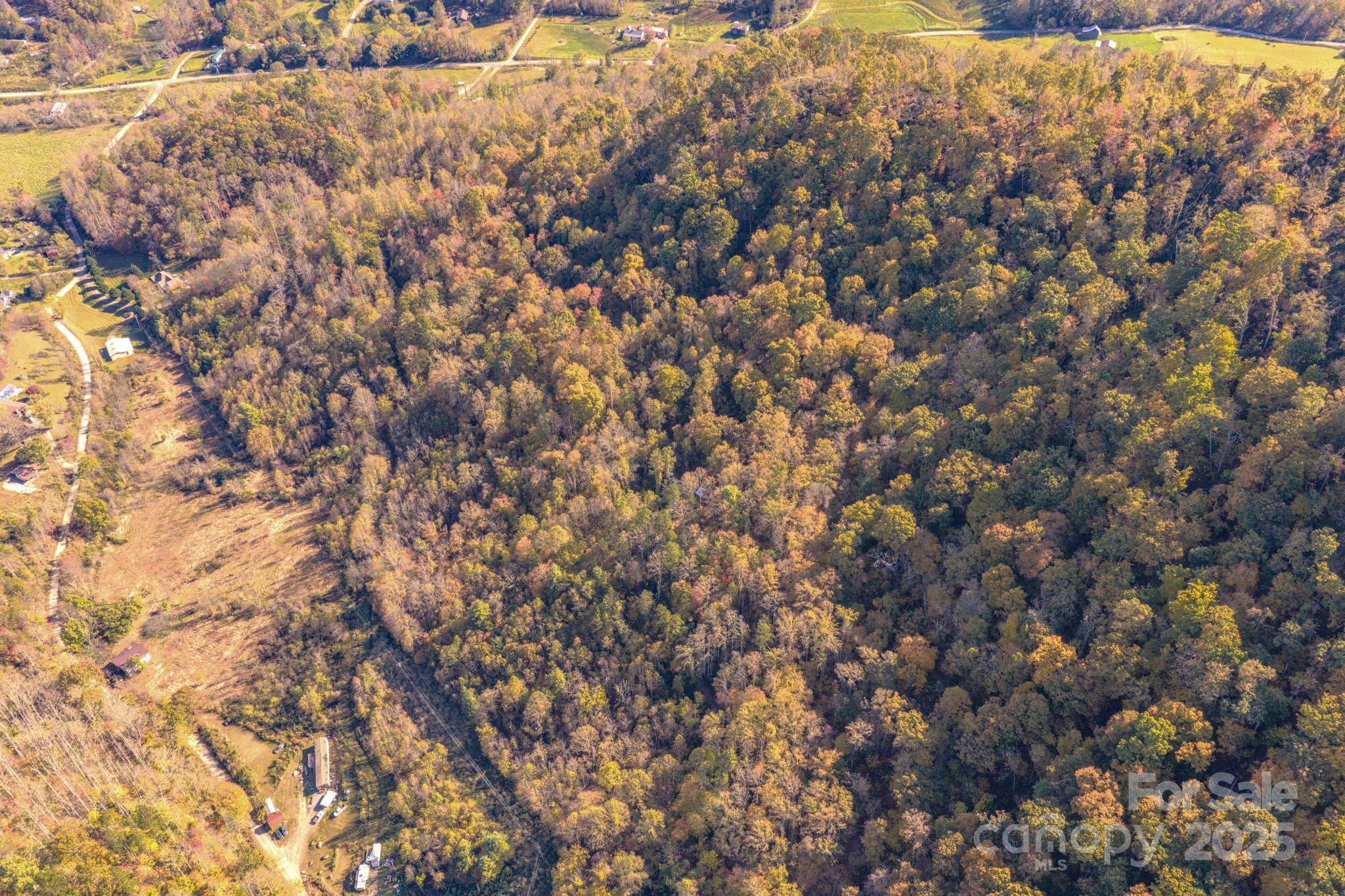 279 Morgan Branch Road Weaverville NC 28787