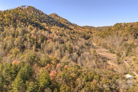 279 Morgan Branch Road Weaverville NC 28787