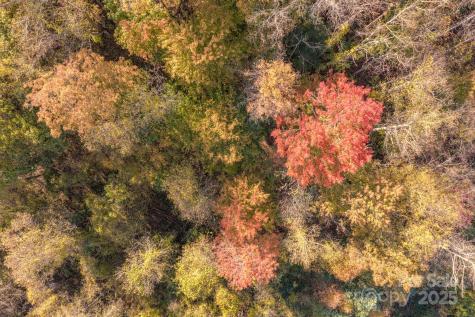 279 Morgan Branch Road Weaverville NC 28787