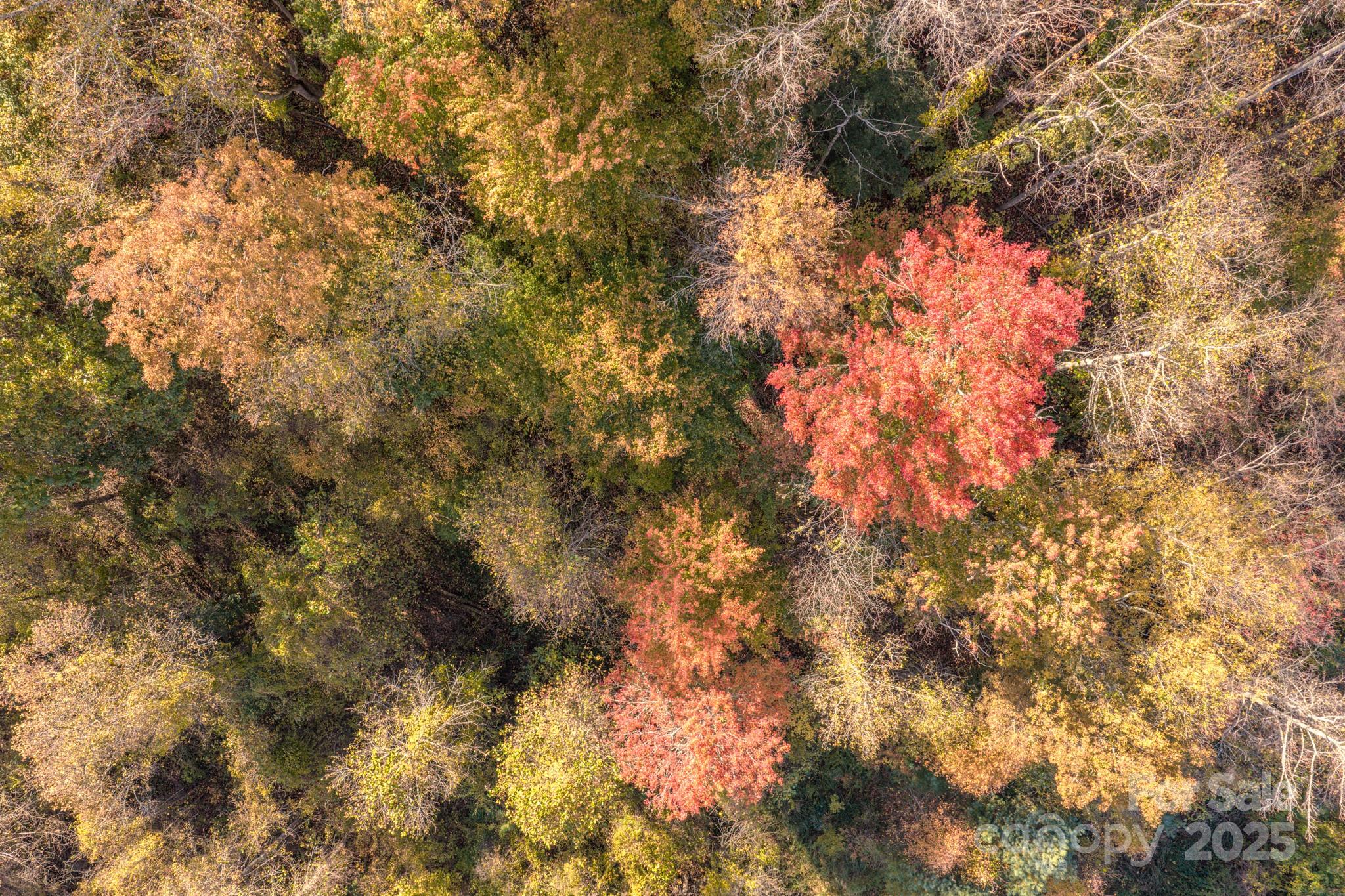 279 Morgan Branch Road Weaverville NC 28787