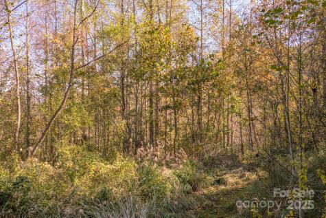279 Morgan Branch Road Weaverville NC 28787