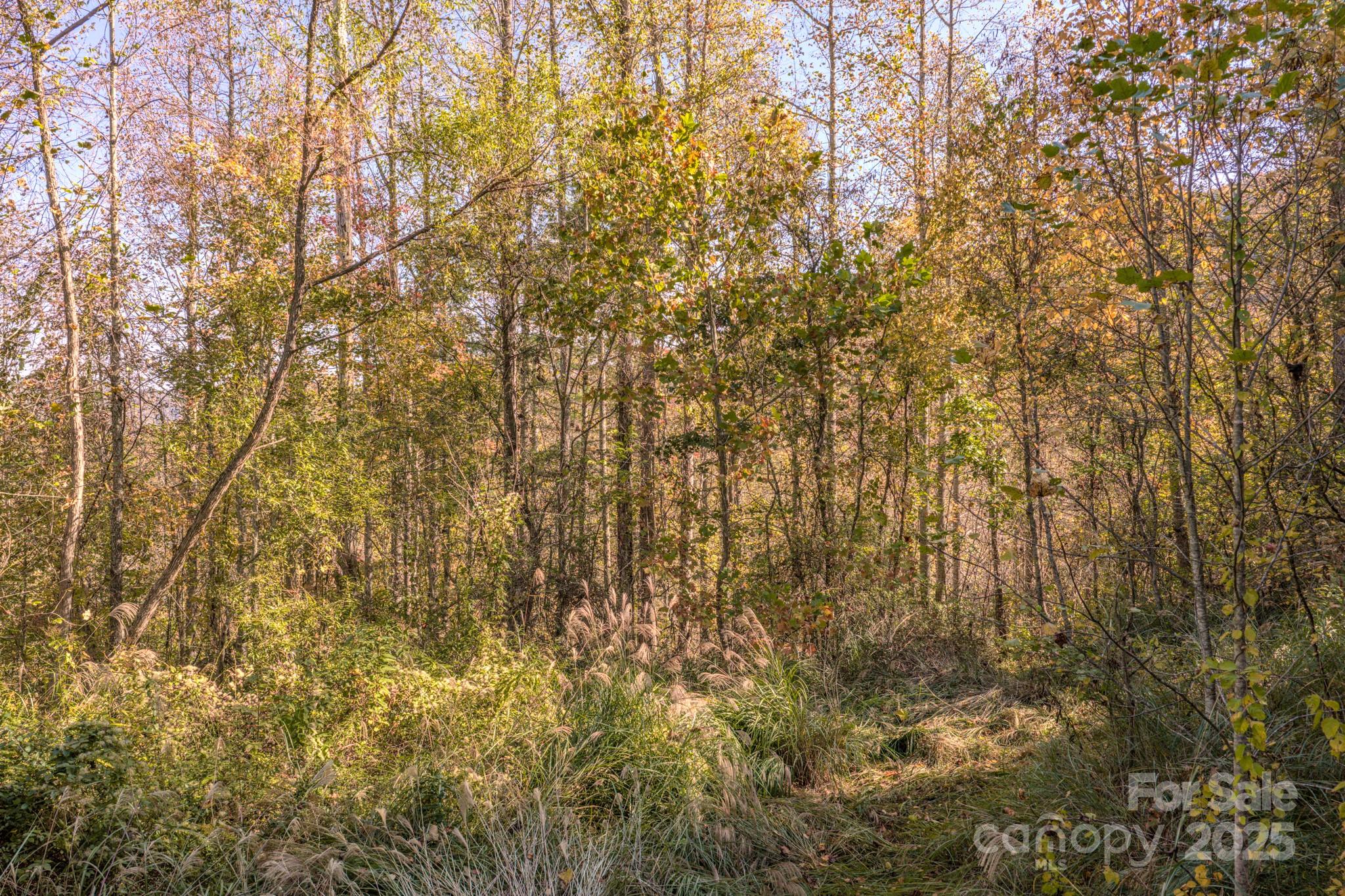 279 Morgan Branch Road Weaverville NC 28787