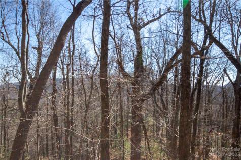 Lot# 502 Fire Crest Lane Lenoir NC 28645