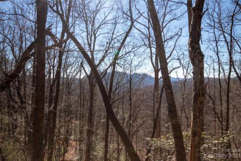 Lot# 502 Fire Crest Lane Lenoir NC 28645