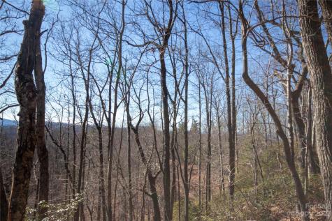 Lot# 502 Fire Crest Lane Lenoir NC 28645