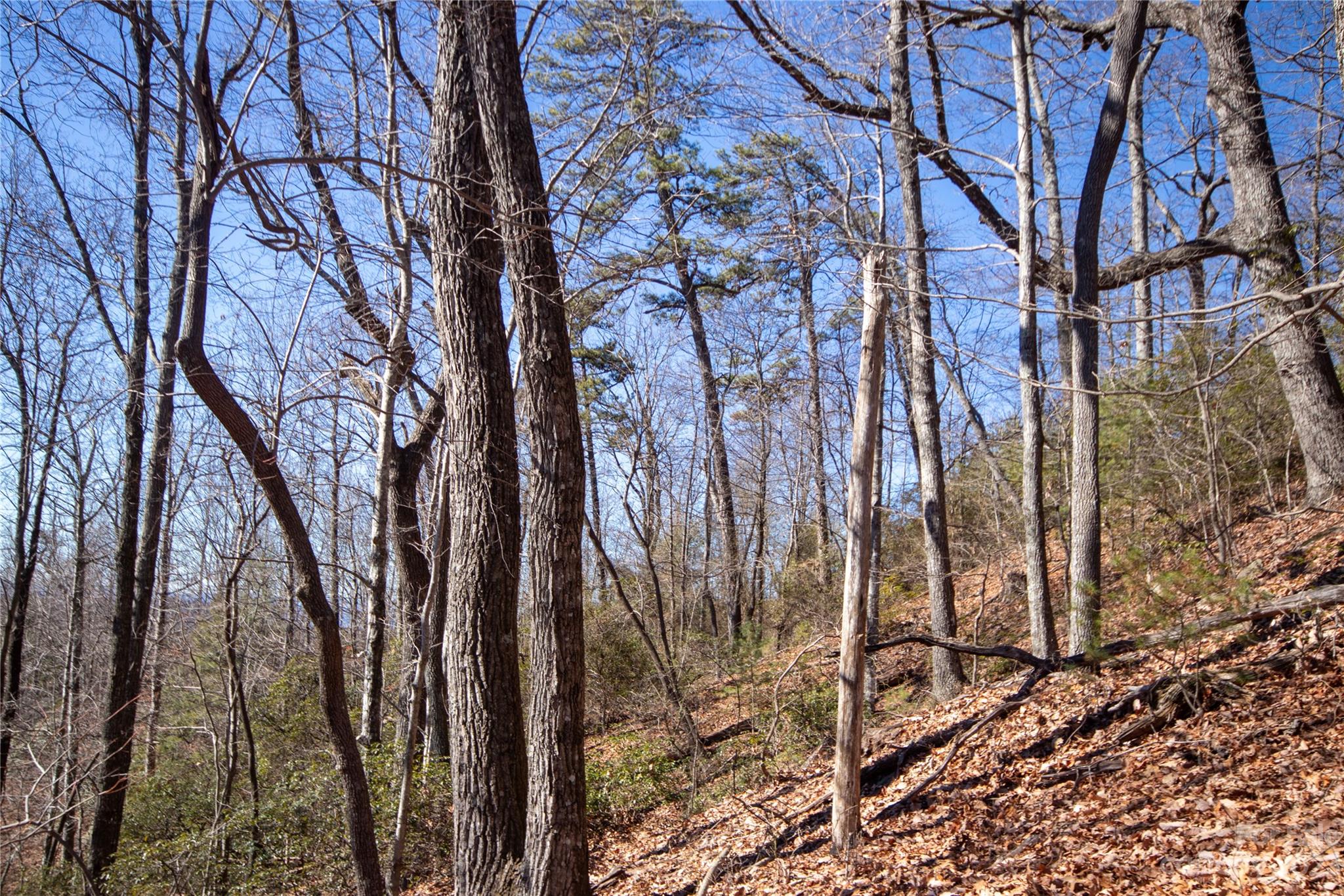 Lot# 502 Fire Crest Lane Lenoir NC 28645