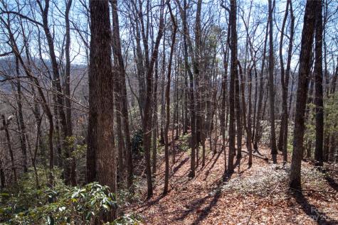 Lot# 502 Fire Crest Lane Lenoir NC 28645