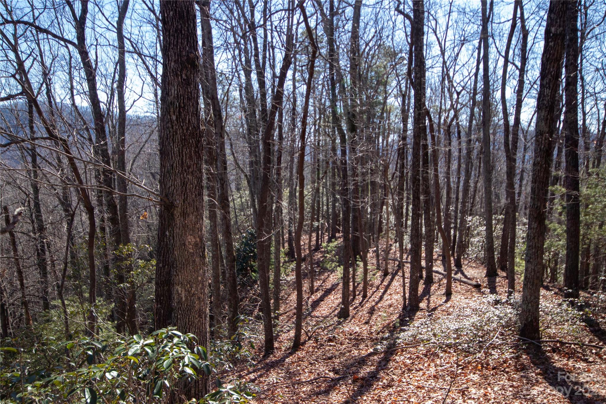 Lot# 502 Fire Crest Lane Lenoir NC 28645