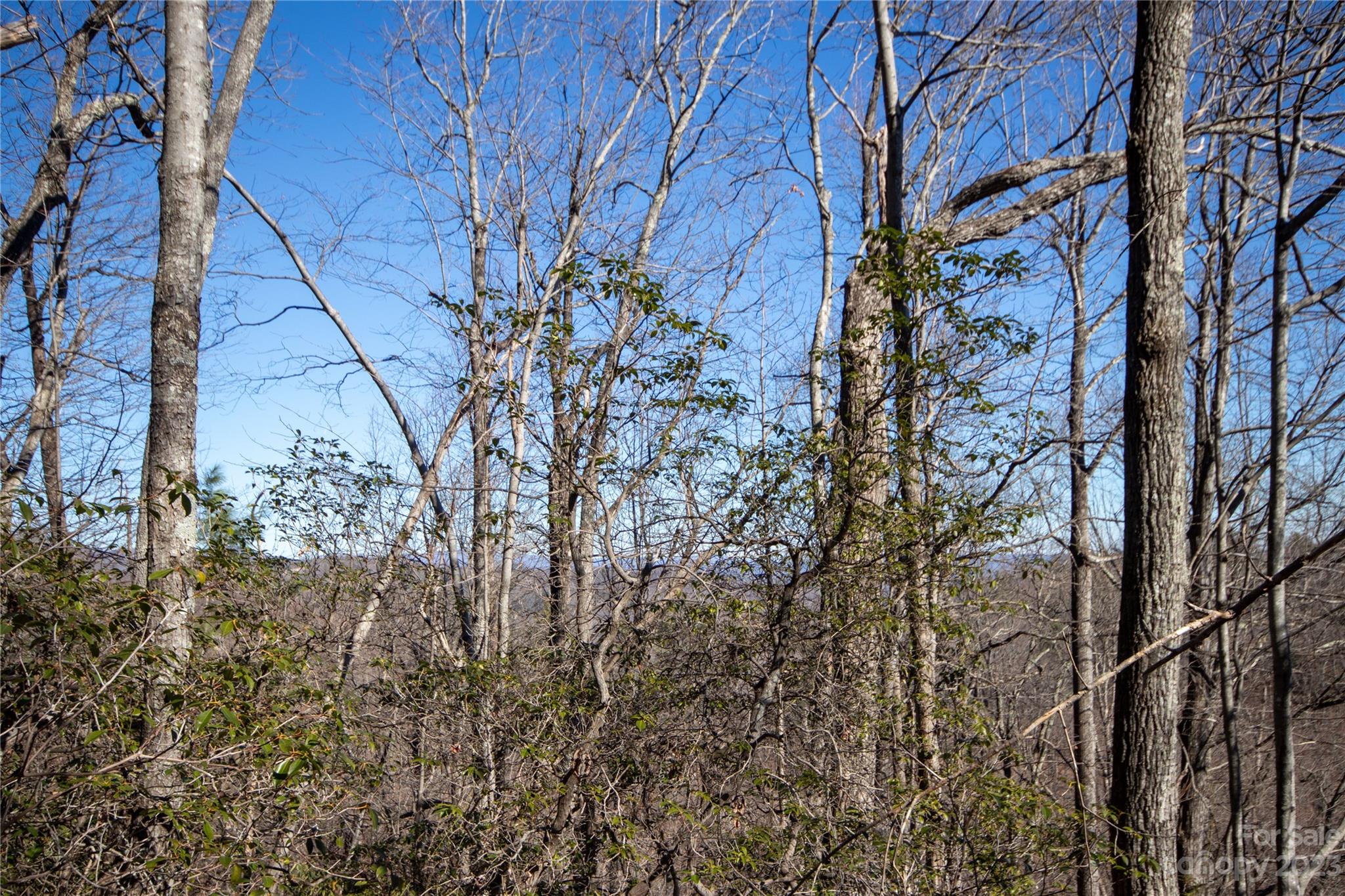 Lot# 502 Fire Crest Lane Lenoir NC 28645