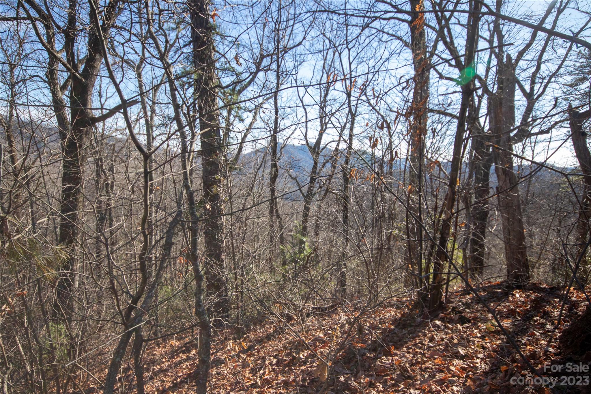 Lot# 502 Fire Crest Lane Lenoir NC 28645