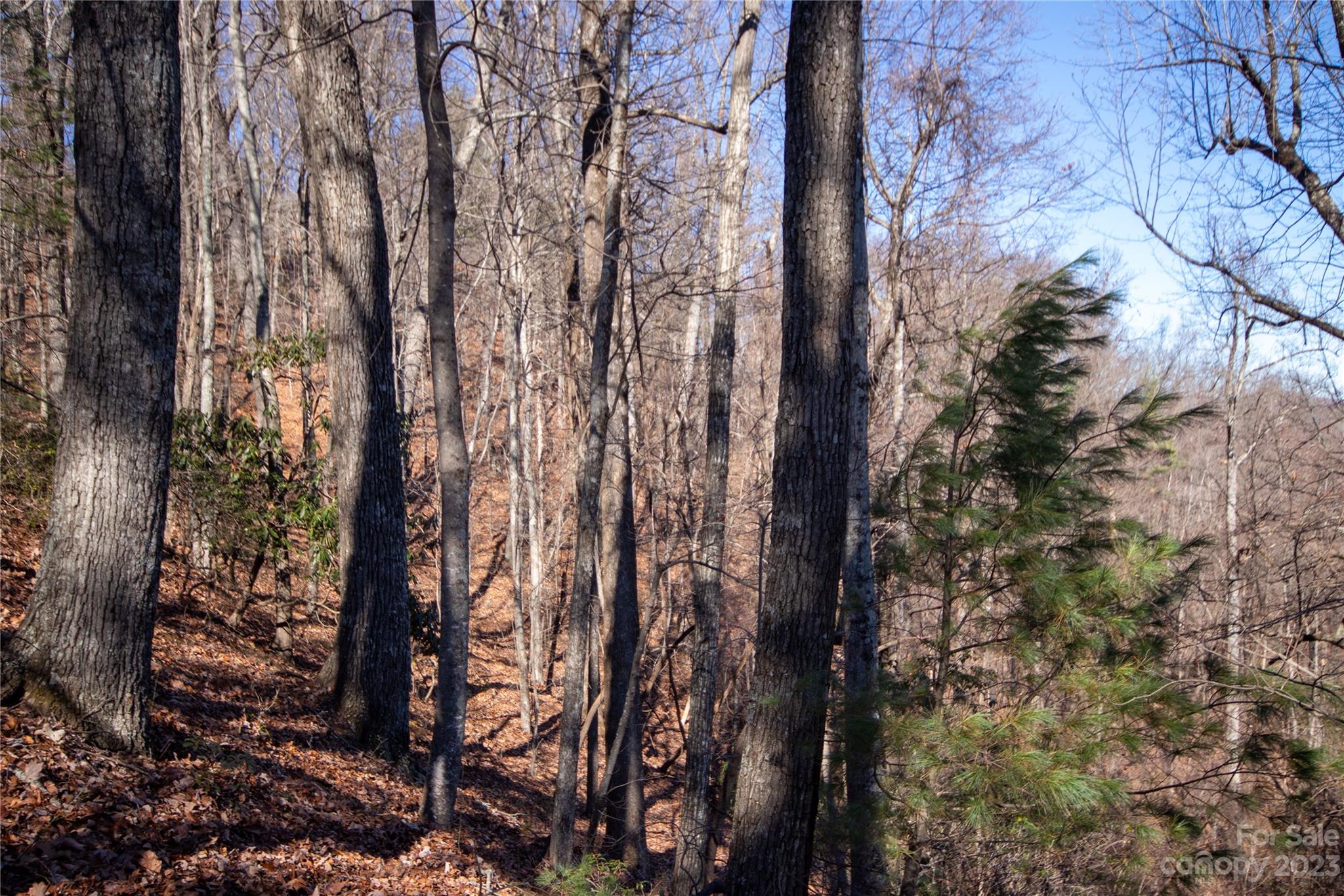 Lot# 502 Fire Crest Lane Lenoir NC 28645