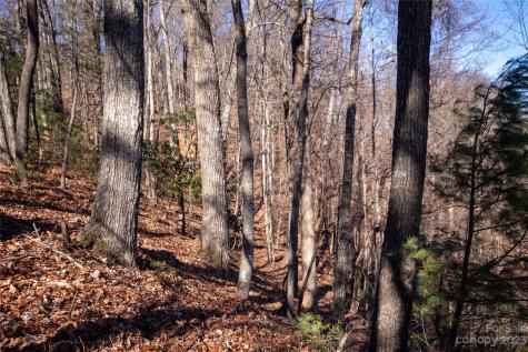 Lot# 502 Fire Crest Lane Lenoir NC 28645