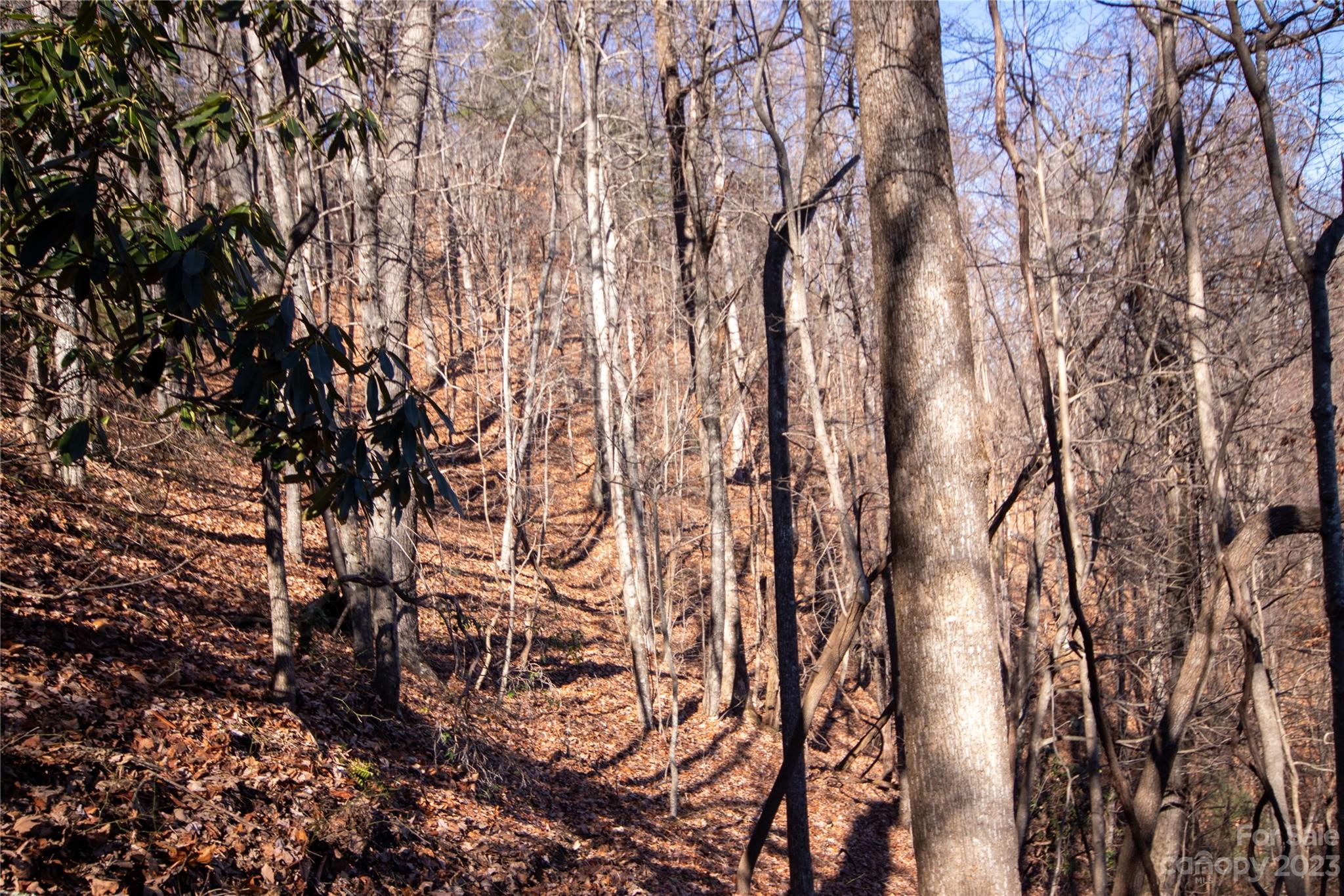 Lot# 502 Fire Crest Lane Lenoir NC 28645