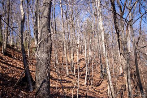 Lot# 502 Fire Crest Lane Lenoir NC 28645