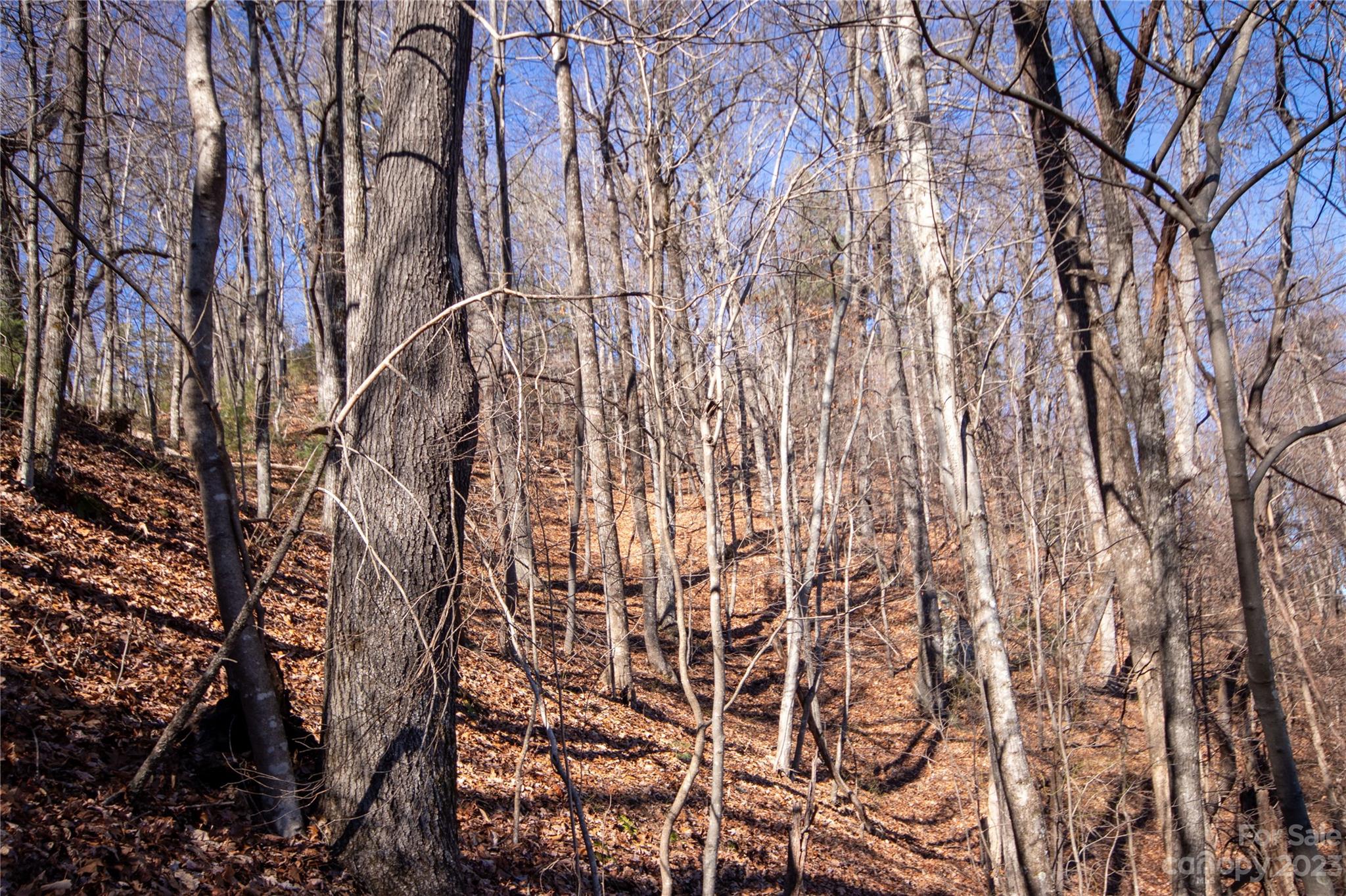 Lot# 502 Fire Crest Lane Lenoir NC 28645