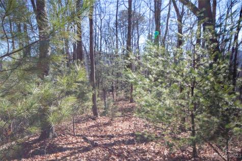 Lot# 502 Fire Crest Lane Lenoir NC 28645