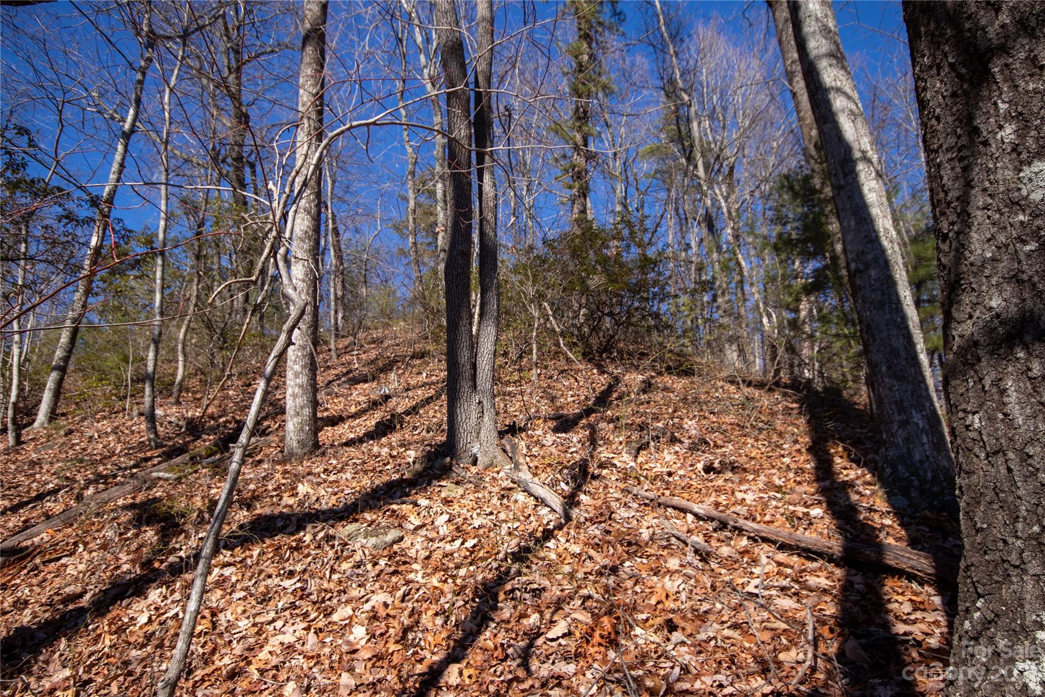 Lot# 502 Fire Crest Lane Lenoir NC 28645