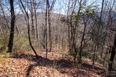 Lot# 502 Fire Crest Lane Lenoir NC 28645