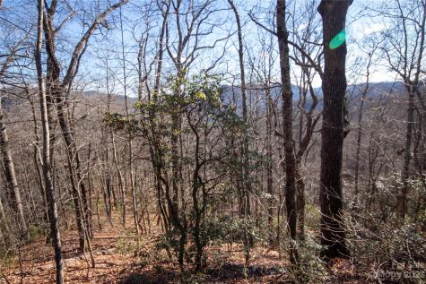 Lot# 502 Fire Crest Lane Lenoir NC 28645