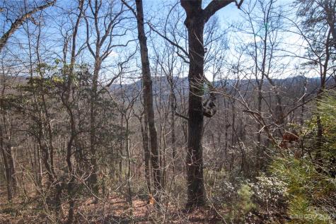 Lot# 502 Fire Crest Lane Lenoir NC 28645