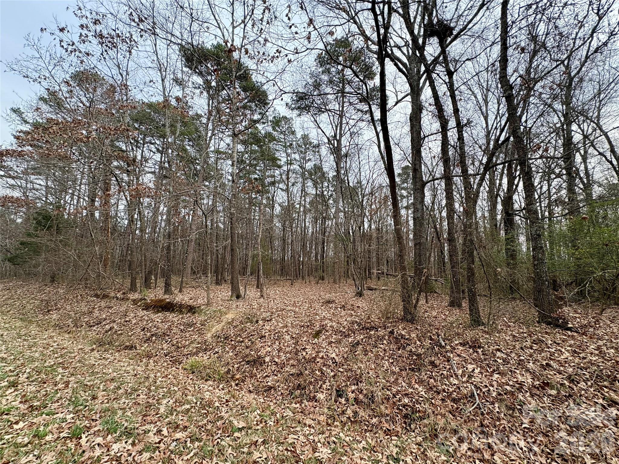 2734 L J Whitley Road Monroe NC 28112