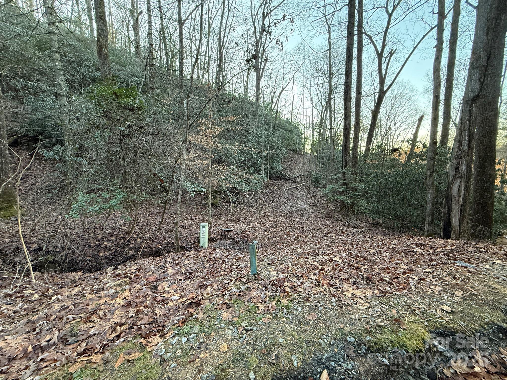 5538 Spring Road Hendersonville NC 28739