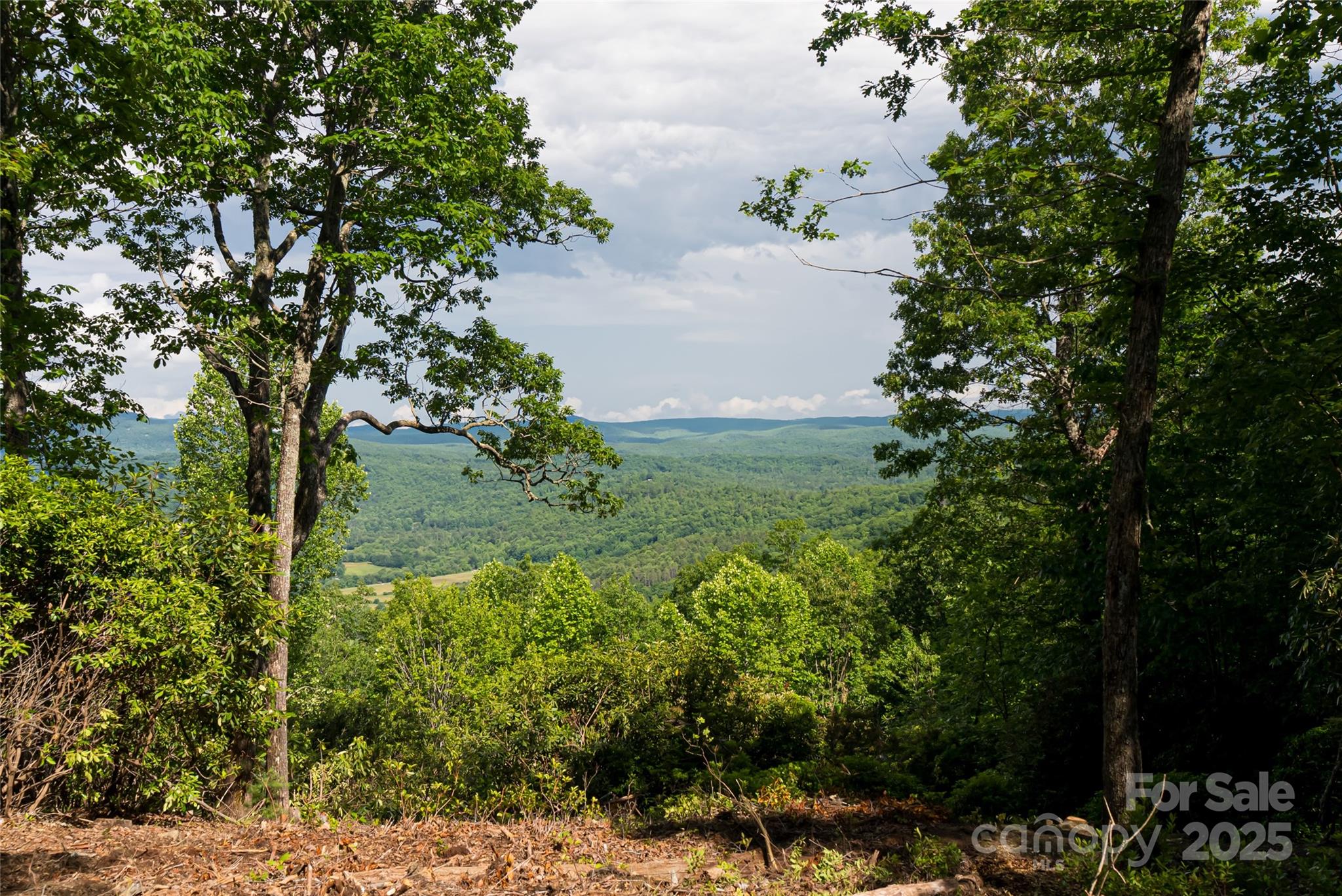 99999 Reserve Road Pisgah Forest NC 28768