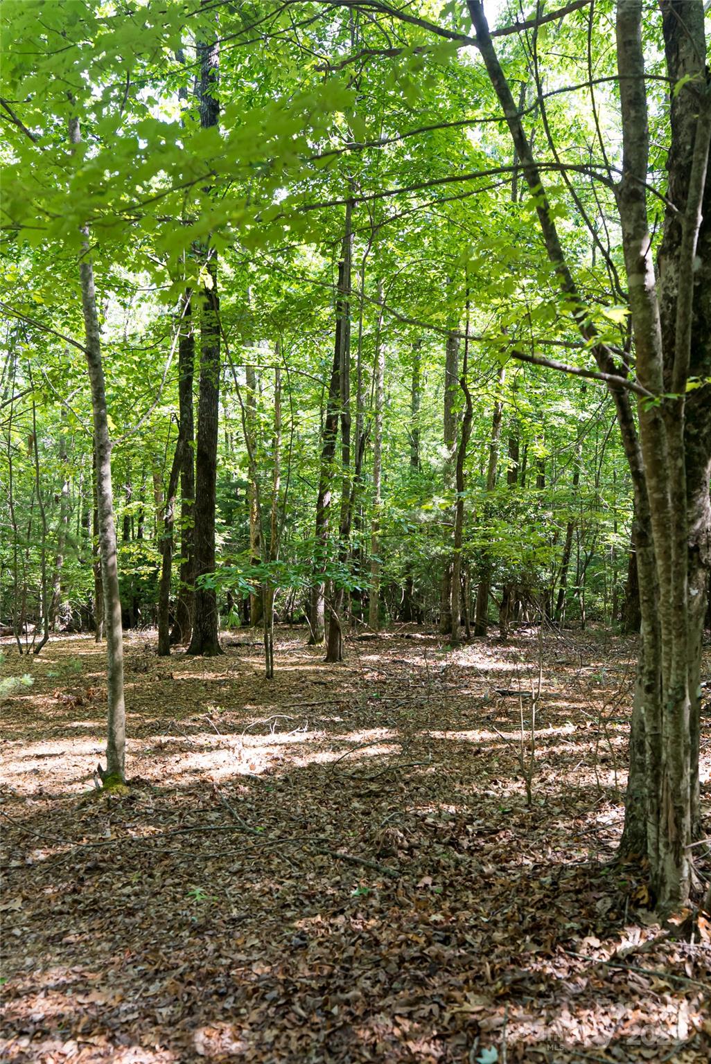 99999 Reserve Road Pisgah Forest NC 28768