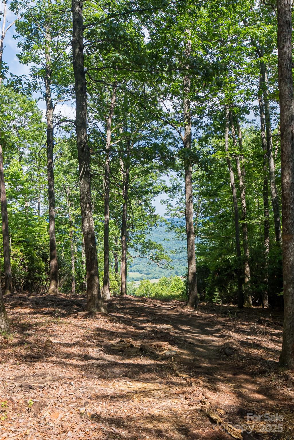 99999 Reserve Road Pisgah Forest NC 28768
