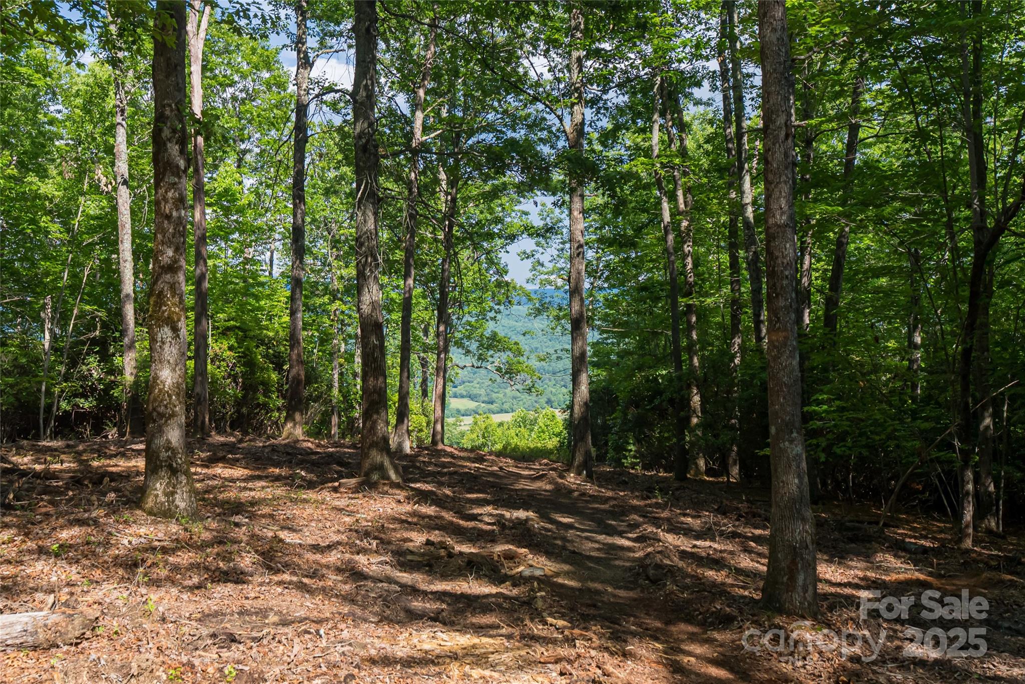 99999 Reserve Road Pisgah Forest NC 28768