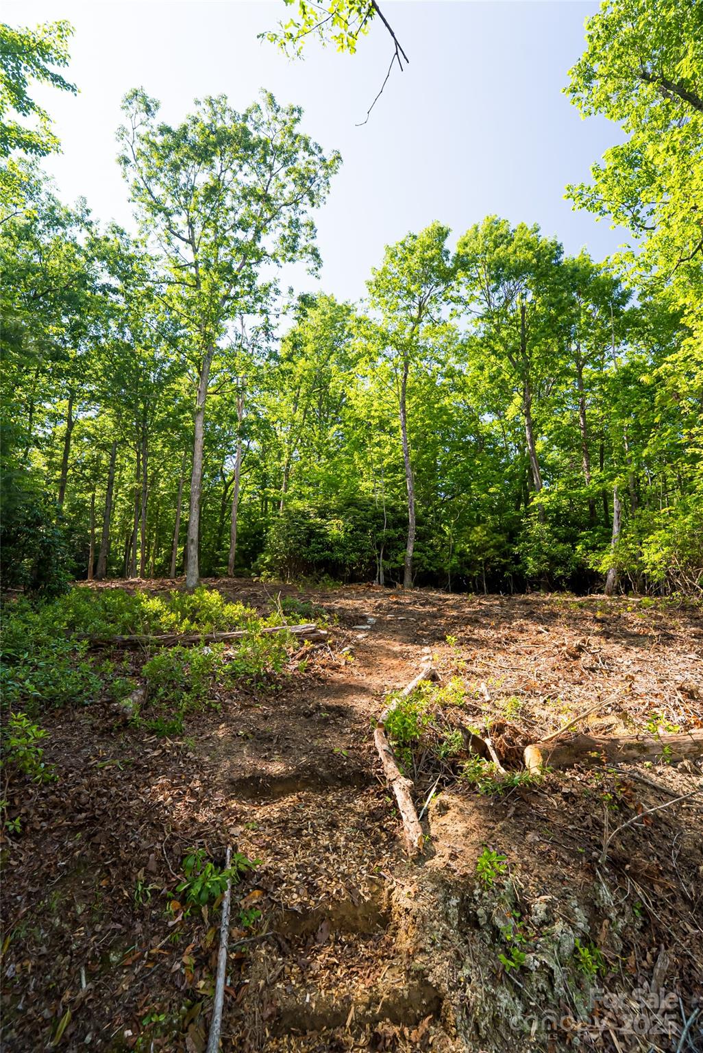 99999 Reserve Road Pisgah Forest NC 28768