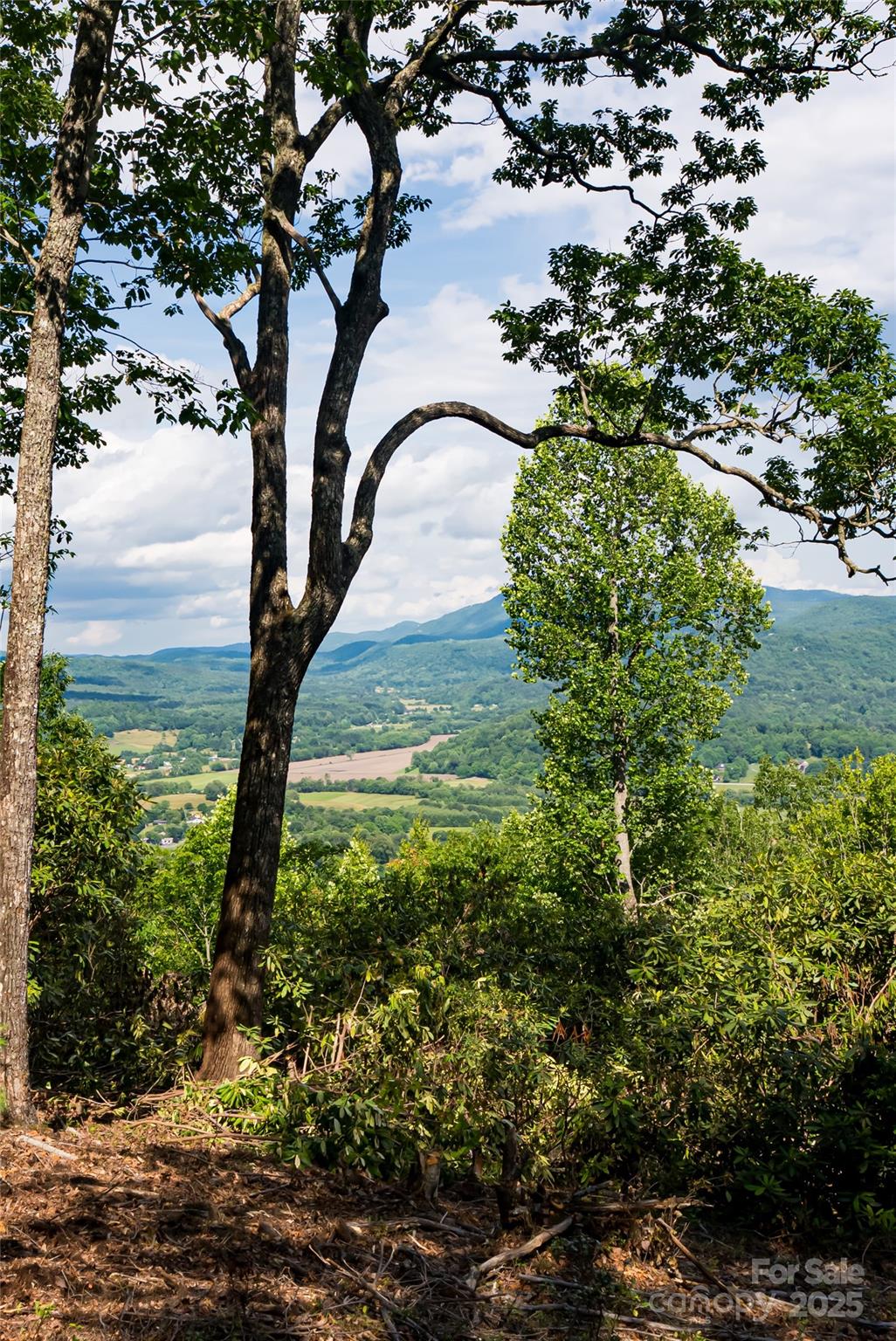 99999 Reserve Road Pisgah Forest NC 28768