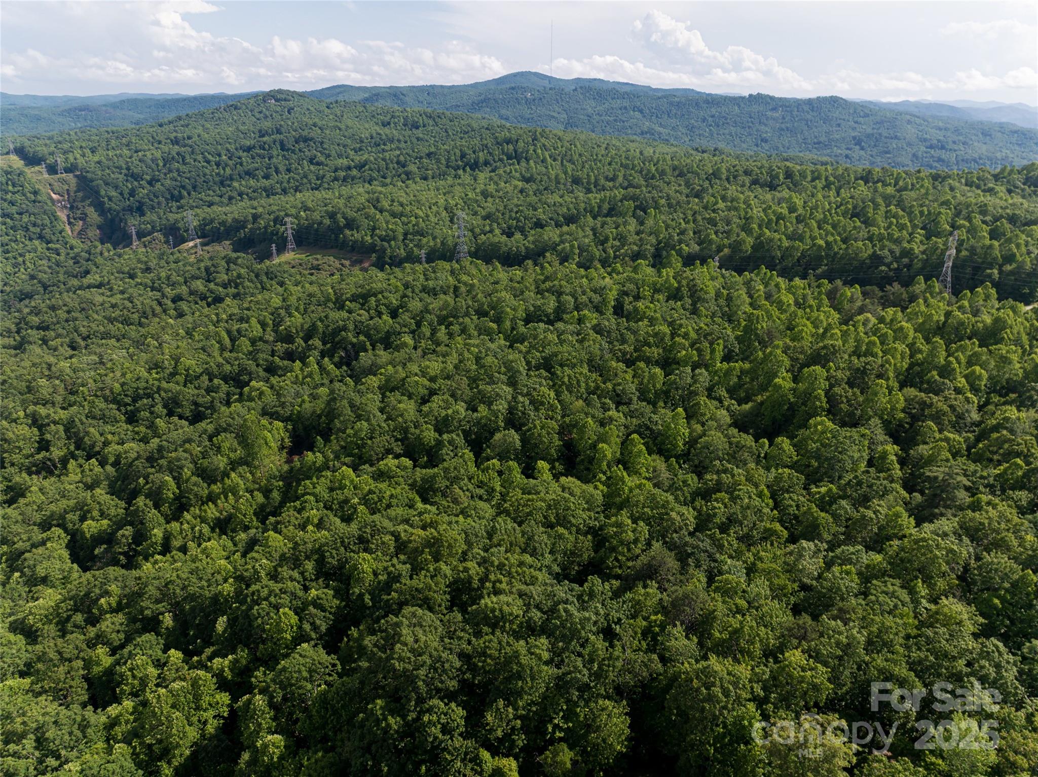 99999 Reserve Road Pisgah Forest NC 28768