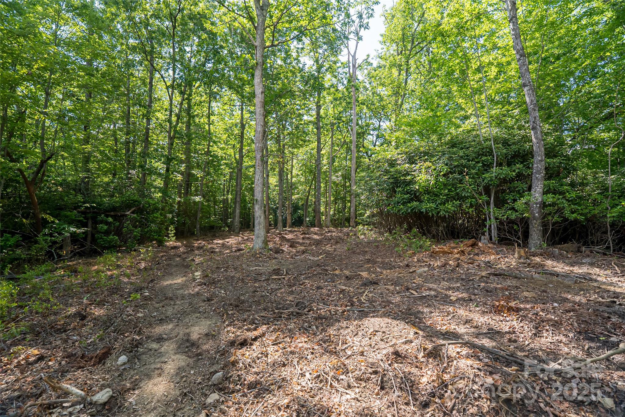 99999 Reserve Road Pisgah Forest NC 28768