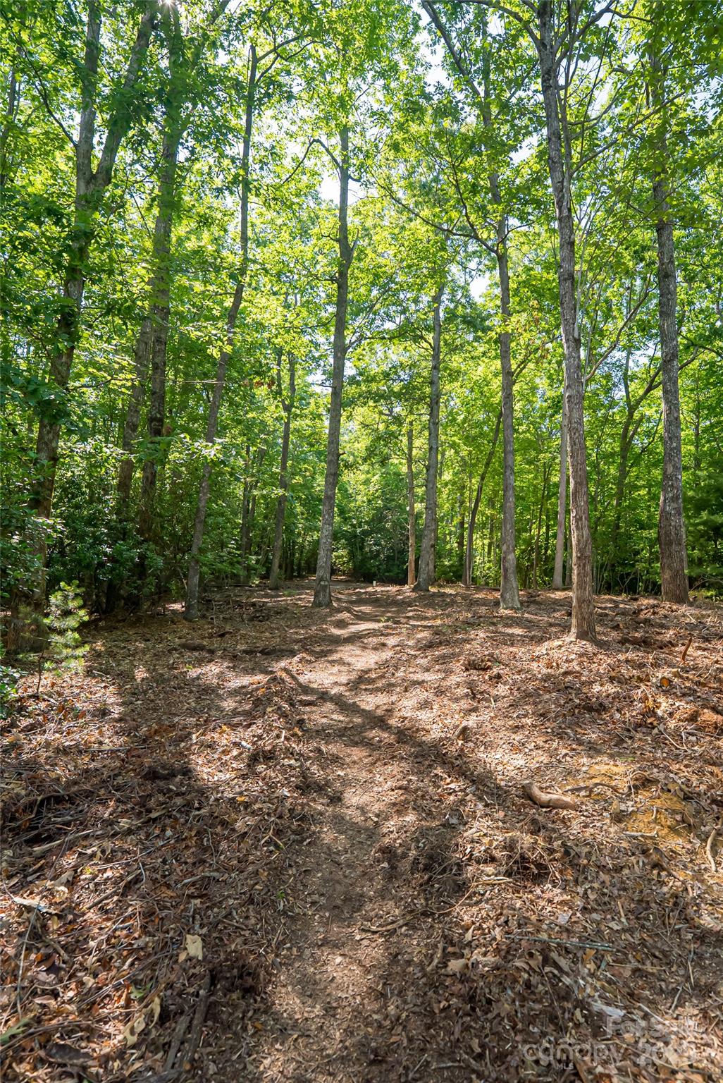 99999 Reserve Road Pisgah Forest NC 28768
