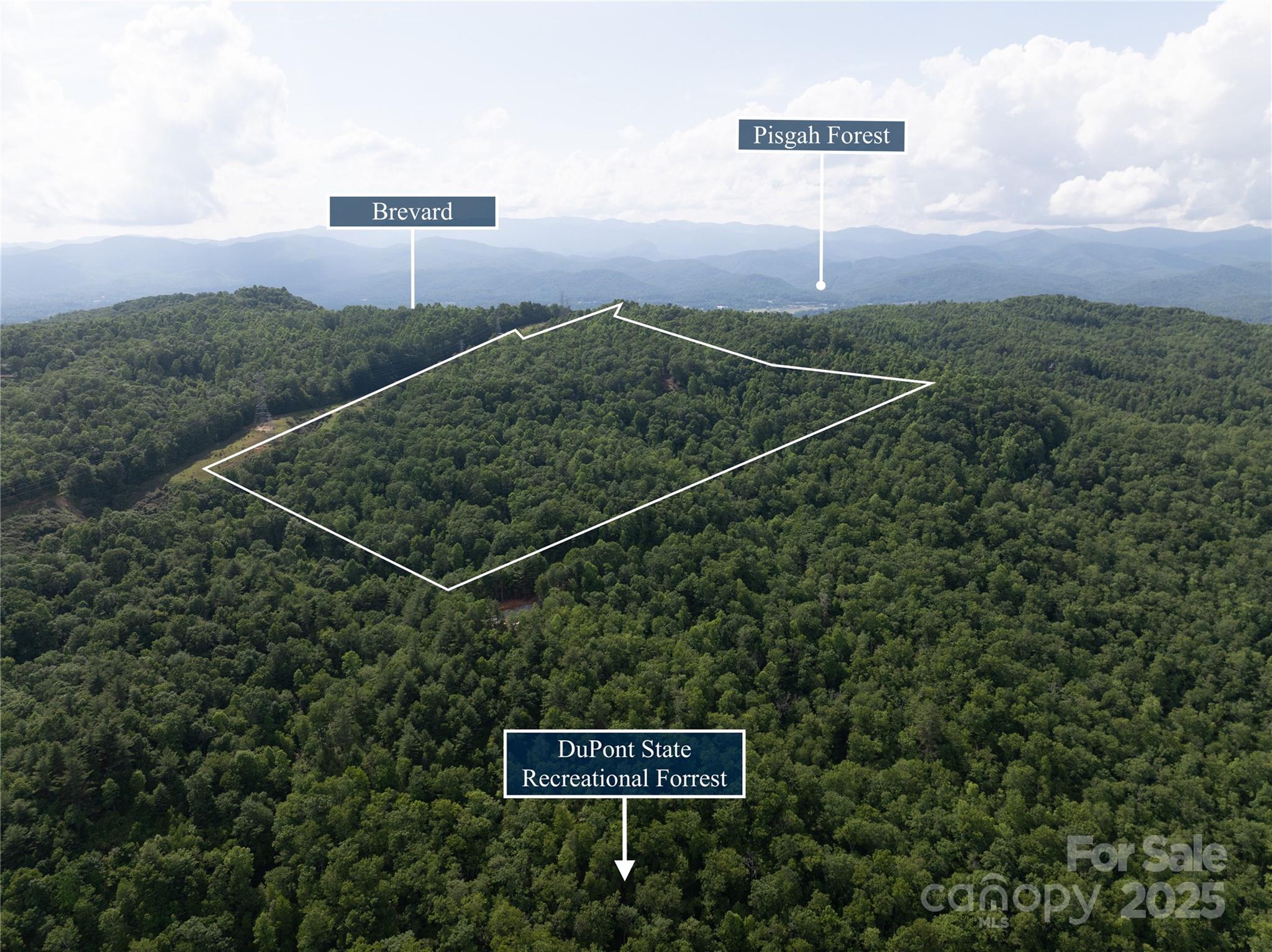 99999 Reserve Road Pisgah Forest NC 28768