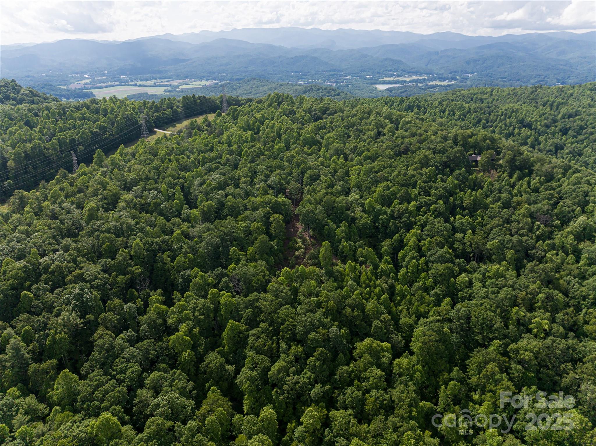 99999 Reserve Road Pisgah Forest NC 28768